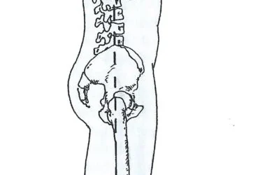 Kako izgleda nevtralni položaj telesa