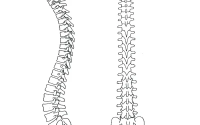 Prikaz hrbtenice iz bočne in čelne strani